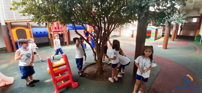 O Funcionamento da Lupa (2º ano) - Educandinho (2023) (10 d...