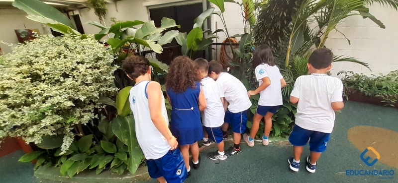 O Funcionamento da Lupa (2º ano) - Educandinho (2023) (11 d...