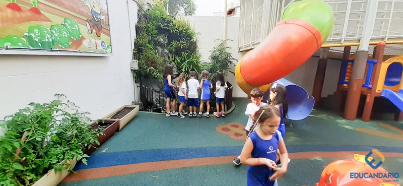 O Funcionamento da Lupa (2º ano) - Educandinho (2023) (13 d...