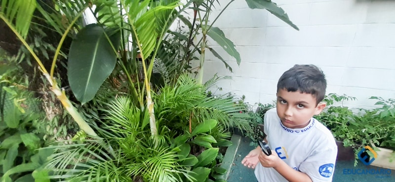 O Funcionamento da Lupa (2º ano) - Educandinho (2023) (14 d...