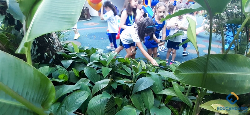 O Funcionamento da Lupa (2º ano) - Educandinho (2023) (15 d...