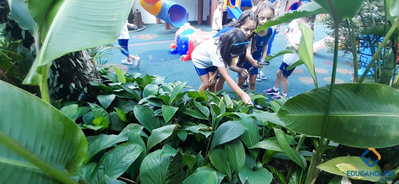 O Funcionamento da Lupa (2º ano) - Educandinho (2023) (16 d...