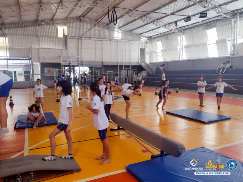 Práticas de Ginástica Artística - 6º ao 9º ano -  Educa...