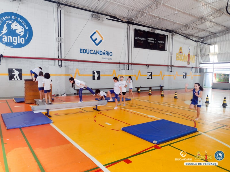 Práticas de Ginástica Artística - 6º ao 9º ano -  Educa...