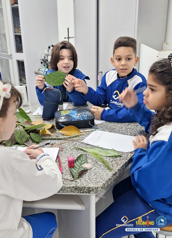 Extração de Clorofila - 4º ano - Educandário (2023)-1
