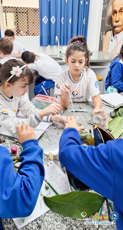 Extração de Clorofila - 4º ano - Educandário (2023)-10