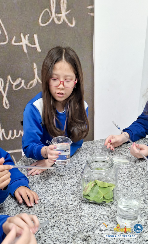 Extração de Clorofila - 4º ano - Educandário (2023)-11