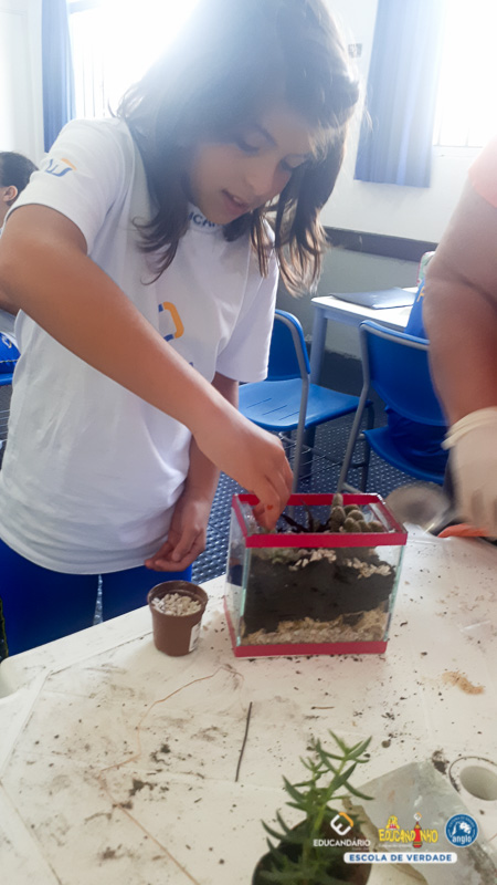 Terrario (5º ano) - Educandário (2023)-10