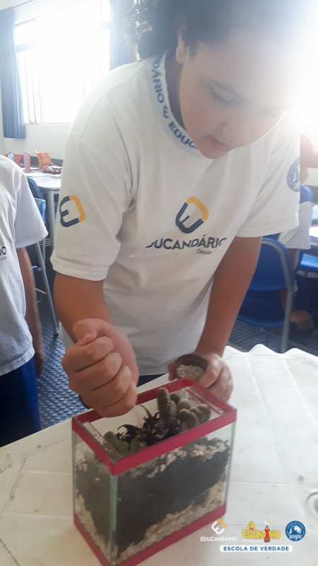 Terrario (5º ano) - Educandário (2023)-11