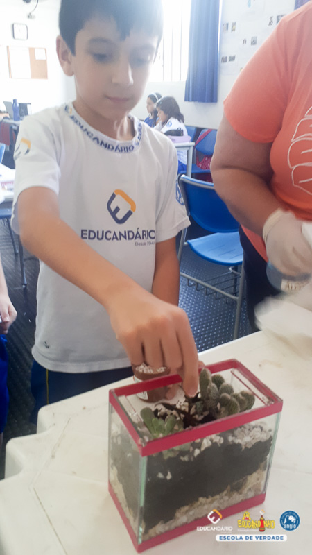 Terrario (5º ano) - Educandário (2023)-12