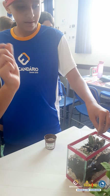 Terrario (5º ano) - Educandário (2023)-14
