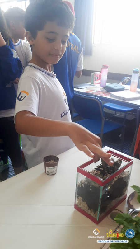 Terrario (5º ano) - Educandário (2023)-15