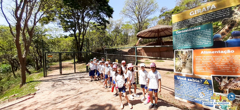 Saída Pedagógica - ZooParque de Itatiba (2º ano) - Educan...