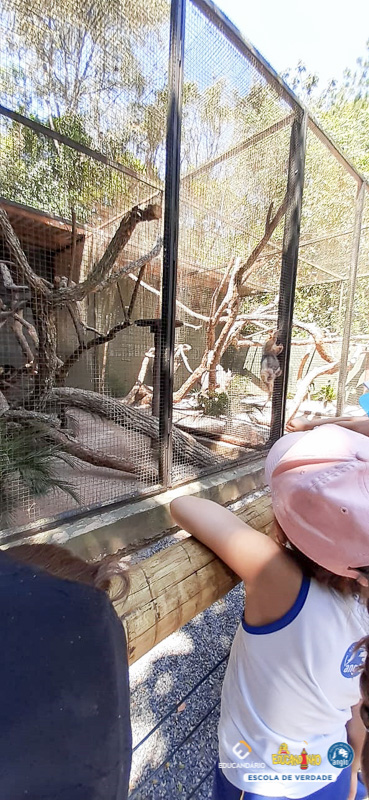 Saída Pedagógica - ZooParque de Itatiba (2º ano) - Educan...