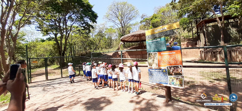 Saída Pedagógica - ZooParque de Itatiba (2º ano) - Educan...