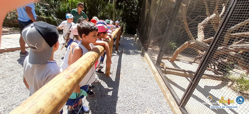 Saída Pedagógica - ZooParque de Itatiba (2º ano) - Educan...