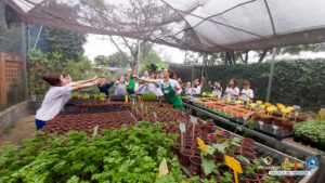 Museu Afro Brasil e Sabor da Fazenda – 4º ano - Educandá...