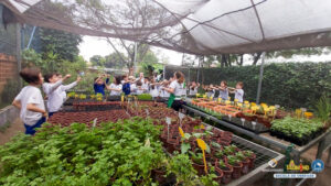 Museu Afro Brasil e Sabor da Fazenda – 4º ano - Educandá...