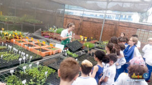 Museu Afro Brasil e Sabor da Fazenda – 4º ano - Educandá...