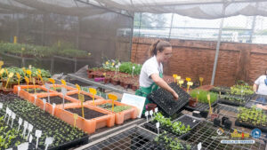 Museu Afro Brasil e Sabor da Fazenda – 4º ano - Educandá...