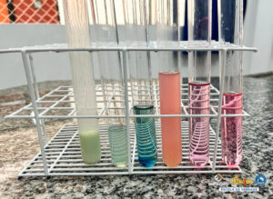 Verificando o pH - 9º ano - Educandário (2023)-3