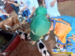 PET ZOO (2º ao 5º ano) - Educandário (2024)-101