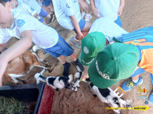 PET ZOO (2º ao 5º ano) - Educandário (2024)-103
