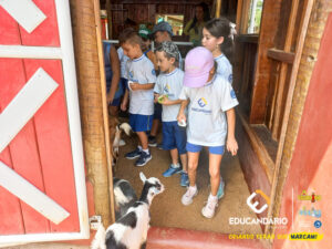 PET ZOO (2º ao 5º ano) - Educandário (2024)-105