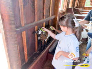 PET ZOO (2º ao 5º ano) - Educandário (2024)-109