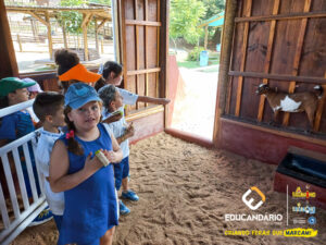 PET ZOO (2º ao 5º ano) - Educandário (2024)-111