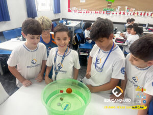 Afunda ou Flutua - 5º ano-1