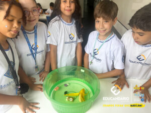 Afunda ou Flutua - 5º ano-11