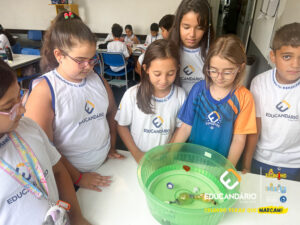 Afunda ou Flutua - 5º ano-12