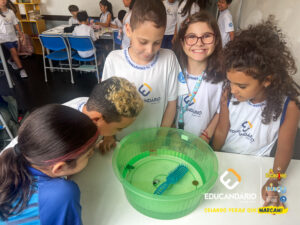 Afunda ou Flutua - 5º ano-13