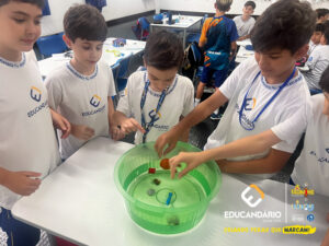 Afunda ou Flutua - 5º ano-2