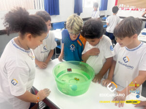 Afunda ou Flutua - 5º ano-3