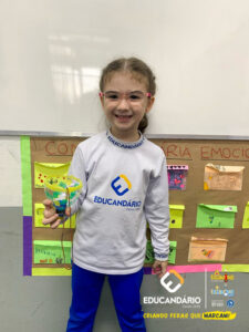 brinquedos mágicos - 1º ano-16