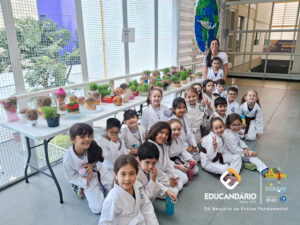 Boneco de Alpiste - 1º ano-11