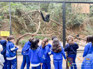 Zoo parque - 2º ano-102