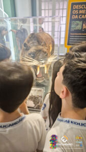 Museu da Língua Portuguesa  -  Educandário (2025)-128