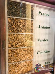 SAIDA PEDAGOGICA - SANTOS  HISTÓRICO, BIOLÓGICO E GEOGRÁF...