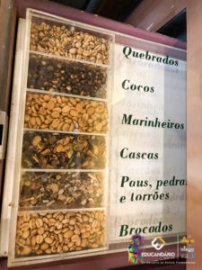 SAIDA PEDAGOGICA - SANTOS  HISTÓRICO, BIOLÓGICO E GEOGRÁF...