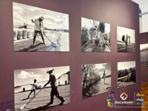 SAIDA PEDAGOGICA - SANTOS  HISTÓRICO, BIOLÓGICO E GEOGRÁF...