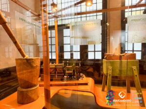 SAIDA PEDAGOGICA - SANTOS  HISTÓRICO, BIOLÓGICO E GEOGRÁF...