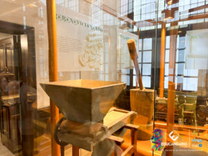 SAIDA PEDAGOGICA - SANTOS  HISTÓRICO, BIOLÓGICO E GEOGRÁF...