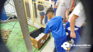 Dinamica pedrinhas Líder.-3