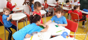 Alimento saudável - Educandinho--6